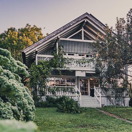 Gardenia-Altach, 2-4 P, Kueche, Garten, Terrasse, Parkplatz, Wifi, Ski Stellplatz Exterior photo